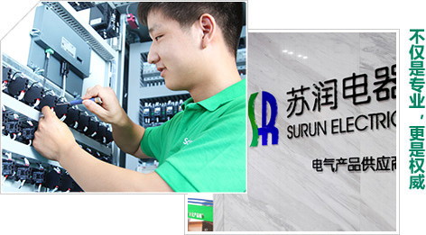 不僅是專(zhuān)業(yè)，更是電氣權(quán)威企業(yè)